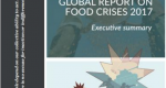 Elementos básicos y tendencias a considerar del Reporte Mundial sobre Crisis Alimentarias 2017